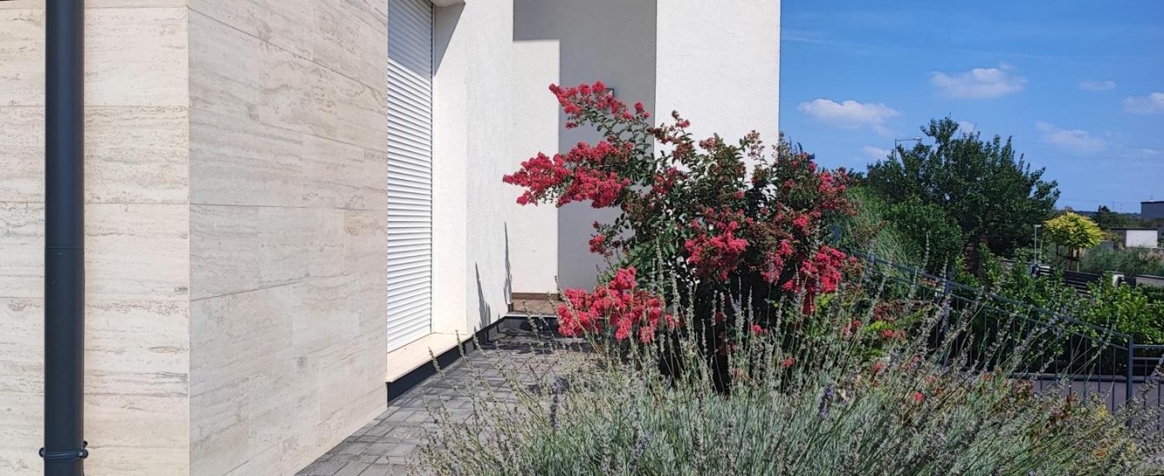 White Column House Lägenhet Diosd Exteriör bild